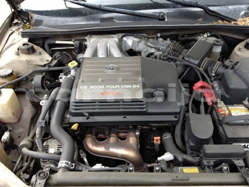 Big with watermark 39989527 1867396850013754 2892351970650095616 n