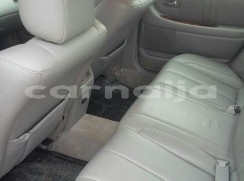 Big with watermark 40031597 1867396613347111 8198839753404055552 o