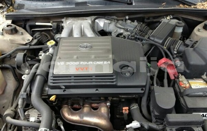 Big with watermark 40000882 1867396536680452 7965895884208603136 n