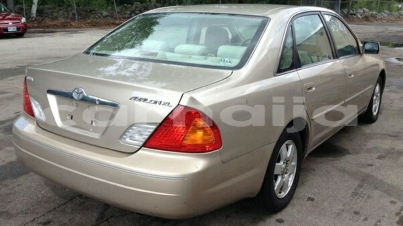 Big with watermark 40058944 1867396426680463 3547324622045184000 n