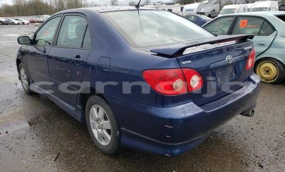 Buy New Toyota Corolla Blue Car in Badagry in Lagos State Buy New Toyota Corolla Blue Car in Badagry in Lagos State