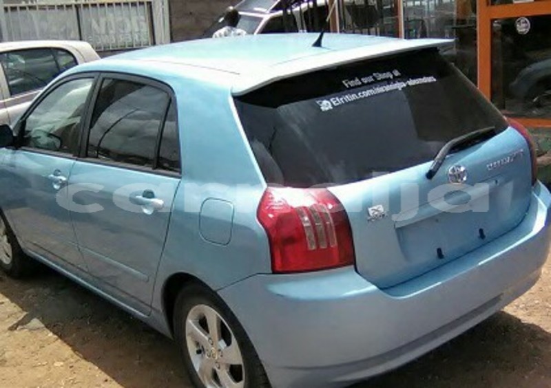 Big with watermark 38879528 1842921419127964 2506738893303316480 n