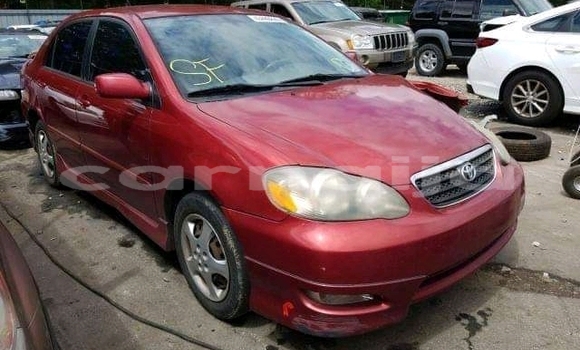Buy Used Toyota Corolla Red Car in Abakaliki in Ebonyi State