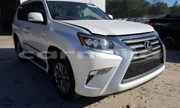 Buy New Lexus GX White Car in Benin City in Edo Buy New Lexus GX White Car in Benin City in Edo