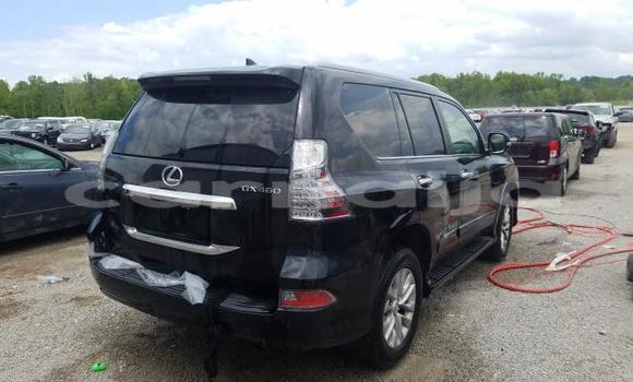 Acheter Neuf Voiture Lexus GX Noir à Apapa, État de Lagos