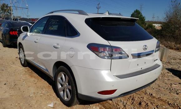 Acheter Neuf Voiture Lexus RX 350 Blanc à Aba, État d'Abia