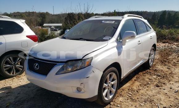 Buy New Lexus RX 350 White Car in Anambra in Anambra