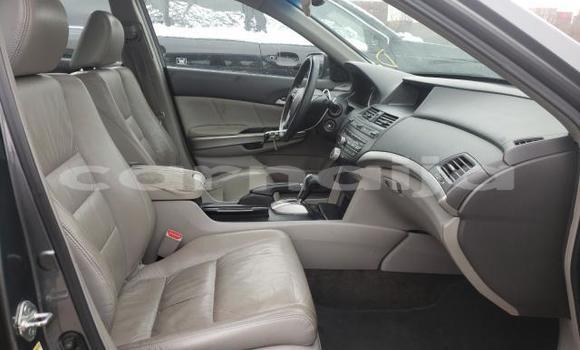 Buy New Honda Accord Silver Car in Badagry in Lagos State Buy New Honda Accord Silver Car in Badagry in Lagos State