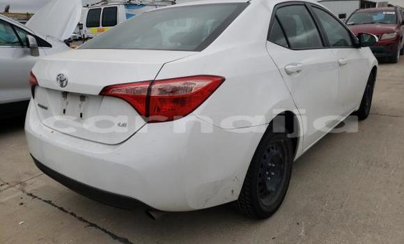 Acheter Neuf Voiture Toyota Corolla Blanc à Aba, État d'Abia Acheter Neuf Voiture Toyota Corolla Blanc à Aba, État d'Abia