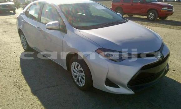 Acheter Neuf Voiture Toyota Corolla Gris à Abuja, État de Lagos Acheter Neuf Voiture Toyota Corolla Gris à Abuja, État de Lagos