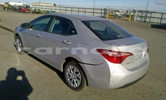 Acheter Neuf Voiture Toyota Corolla Blanc à Port Harcourt, Rivers State Acheter Neuf Voiture Toyota Corolla Blanc à Port Harcourt, Rivers State
