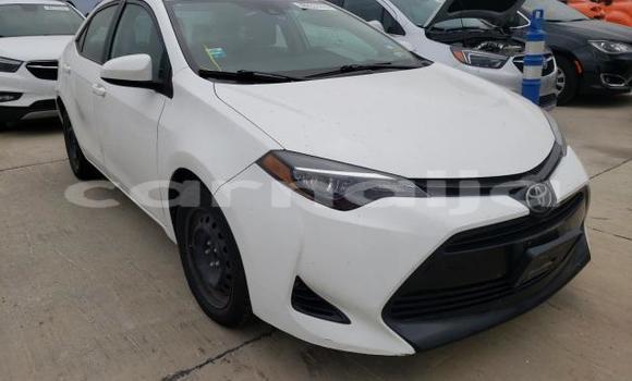 Acheter Neuf Voiture Toyota Corolla Blanc à Iye–Ekiti, État d'Ekiti Acheter Neuf Voiture Toyota Corolla Blanc à Iye–Ekiti, État d'Ekiti