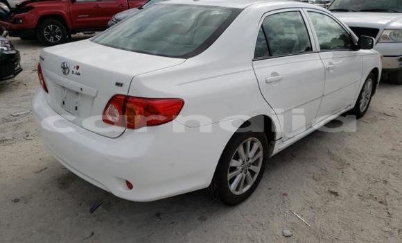 Buy New Toyota Corolla White Car in Badagry in Lagos State
