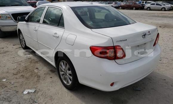 Buy New Toyota Corolla White Car in Badagry in Lagos State Buy New Toyota Corolla White Car in Badagry in Lagos State