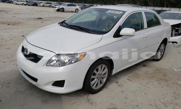 Buy New Toyota Corolla White Car in Badagry in Lagos State Buy New Toyota Corolla White Car in Badagry in Lagos State