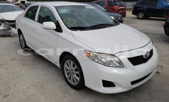 Buy New Toyota Corolla White Car in Badagry in Lagos State Buy New Toyota Corolla White Car in Badagry in Lagos State