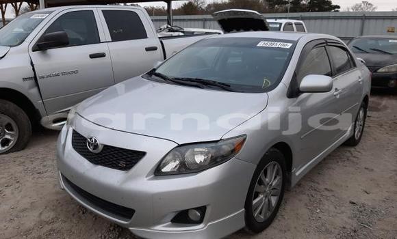 Buy New Toyota Corolla Silver Car in Badagry in Lagos State