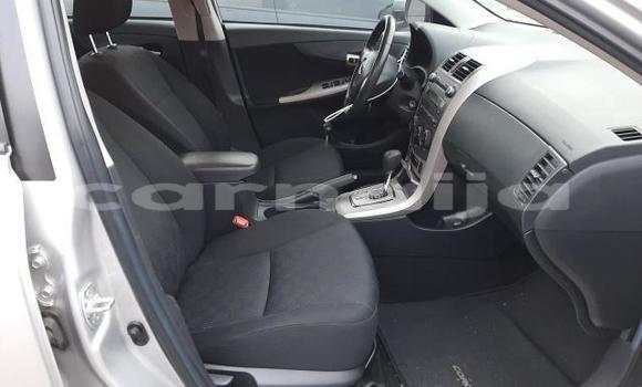 Buy New Toyota Corolla Silver Car in Badagry in Lagos State Buy New Toyota Corolla Silver Car in Badagry in Lagos State