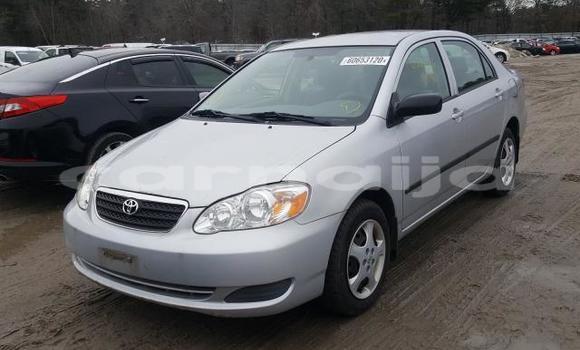 Buy New Toyota Corolla Silver Car in Badagry in Lagos State