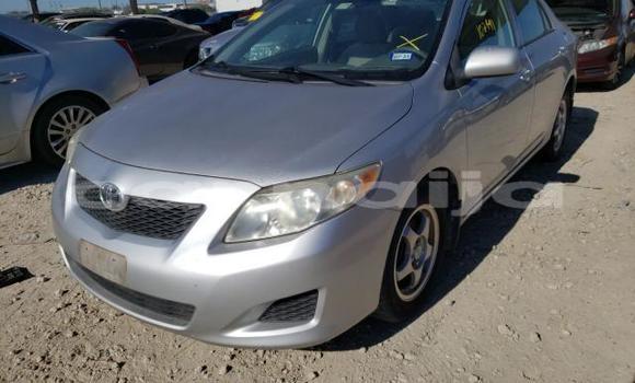 Buy New Toyota Corolla Silver Car in Badagry in Lagos State