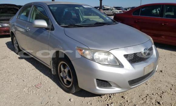 Acheter Neuf Voiture Toyota Corolla Gris à Badagry, État de Lagos Acheter Neuf Voiture Toyota Corolla Gris à Badagry, État de Lagos