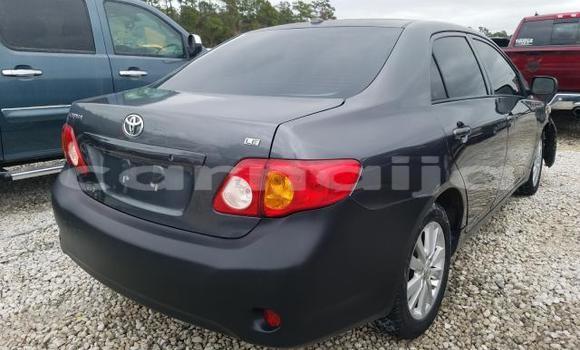 Buy New Toyota Corolla Black Car in Badagry in Lagos State Buy New Toyota Corolla Black Car in Badagry in Lagos State