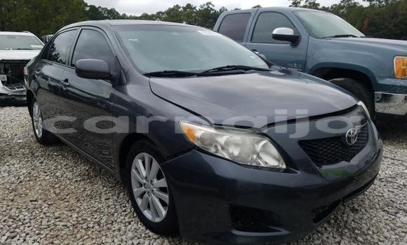 Buy New Toyota Corolla Black Car in Badagry in Lagos State Buy New Toyota Corolla Black Car in Badagry in Lagos State