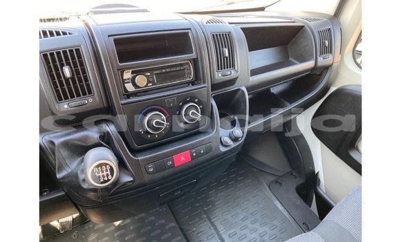 Acheter Import Voiture Peugeot 201 Blanc à Import - Dubai, État d'Abia Acheter Import Voiture Peugeot 201 Blanc à Import - Dubai, État d'Abia