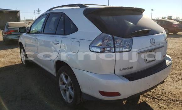 Buy Import Lexus RX 330 White Car in Daura in Katsina Buy Import Lexus RX 330 White Car in Daura in Katsina