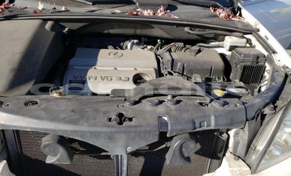 Buy Import Lexus RX 330 White Car in Daura in Katsina Buy Import Lexus RX 330 White Car in Daura in Katsina