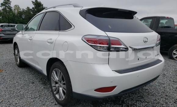 Acheter Neuf Voiture Lexus RX 350 Blanc à Badagry, État de Lagos Acheter Neuf Voiture Lexus RX 350 Blanc à Badagry, État de Lagos
