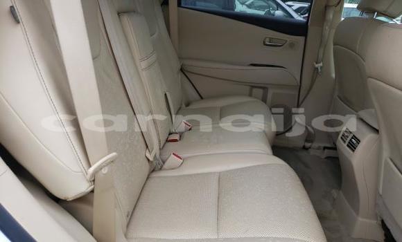 Acheter Neuf Voiture Lexus RX 350 Blanc à Badagry, État de Lagos Acheter Neuf Voiture Lexus RX 350 Blanc à Badagry, État de Lagos