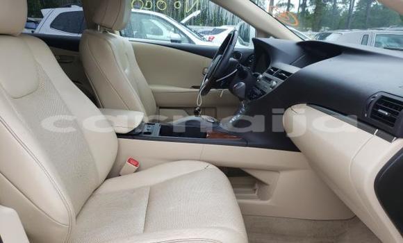 Acheter Neuf Voiture Lexus RX 350 Blanc à Badagry, État de Lagos Acheter Neuf Voiture Lexus RX 350 Blanc à Badagry, État de Lagos