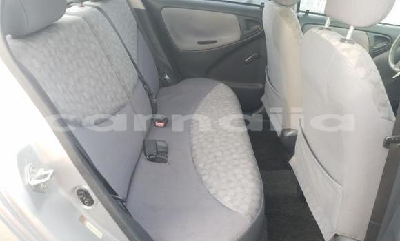 Buy New Toyota Echo Silver Car in Badagry in Lagos State Buy New Toyota Echo Silver Car in Badagry in Lagos State