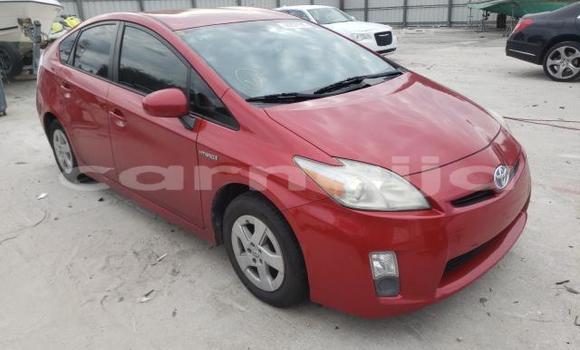 Buy New Toyota Prius Red Car in Badagry in Lagos State
