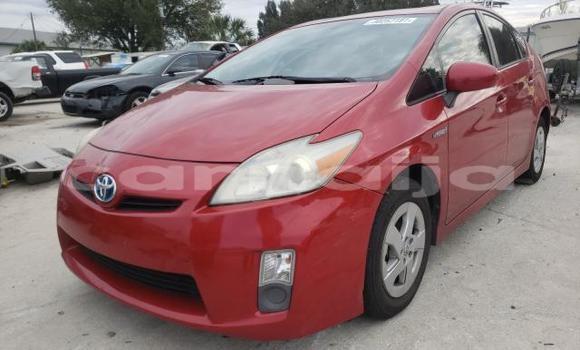 Buy New Toyota Prius Red Car in Badagry in Lagos State Buy New Toyota Prius Red Car in Badagry in Lagos State