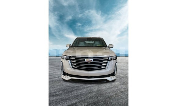 Buy Import Cadillac Escalade Other Car in Import - Dubai in Abia State