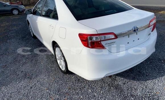 Buy New Toyota Camry White Car in Benin City in Edo