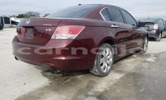 Buy New Honda Accord Red Car in Enugu in Enugu State Buy New Honda Accord Red Car in Enugu in Enugu State