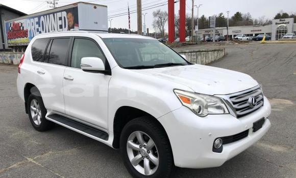 Buy New Lexus GX White Car in Abaji in Federal Capital Territory Buy New Lexus GX White Car in Abaji in Federal Capital Territory