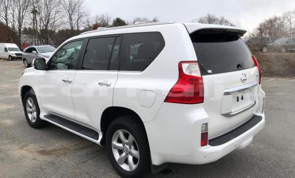 Acheter Neuf Voiture Lexus GX Blanc à Damaturu, État de Yobe Acheter Neuf Voiture Lexus GX Blanc à Damaturu, État de Yobe