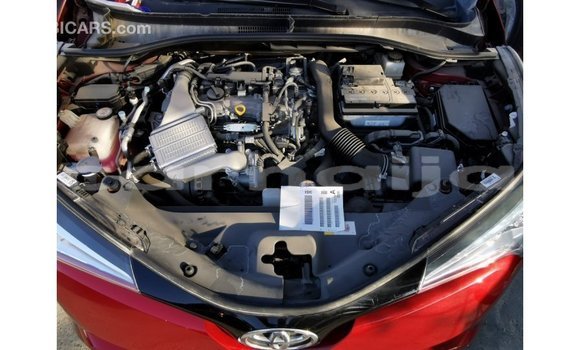 Buy Import Toyota C-HR Red Car in Import - Dubai in Abia State Buy Import Toyota C-HR Red Car in Import - Dubai in Abia State