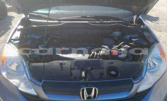 Buy Import Toyota Highlander Other Car in Aramoko–Ekiti in Ekiti State Buy Import Toyota Highlander Other Car in Aramoko–Ekiti in Ekiti State