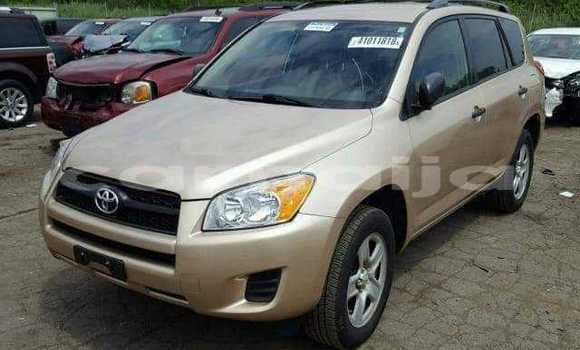 Buy Import Toyota RAV4 Other Car in Daura in Katsina
