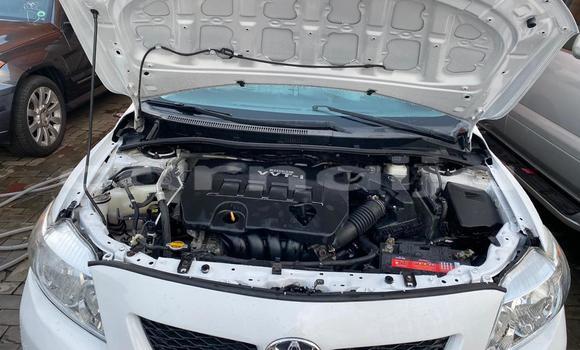 Acheter Occasion Voiture Toyota Corolla Blanc à Akodo, État de Lagos