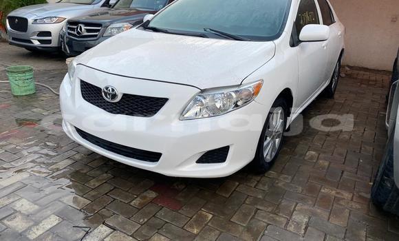Buy Used Toyota Corolla White Car in Akodo in Lagos State Buy Used Toyota Corolla White Car in Akodo in Lagos State
