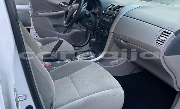 Buy Used Toyota Corolla White Car in Akodo in Lagos State Buy Used Toyota Corolla White Car in Akodo in Lagos State