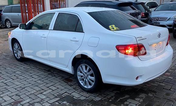 Buy Used Toyota Corolla White Car in Akodo in Lagos State Buy Used Toyota Corolla White Car in Akodo in Lagos State