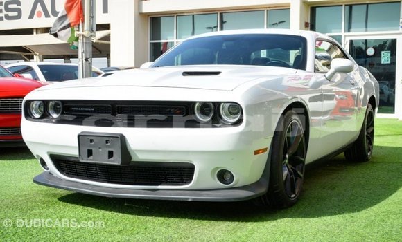 Acheter Import Voiture Dodge Challenger Blanc à Import - Dubai, État d'Abia Acheter Import Voiture Dodge Challenger Blanc à Import - Dubai, État d'Abia