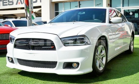 Acheter Import Voiture Dodge Charger Blanc à Import - Dubai, État d'Abia Acheter Import Voiture Dodge Charger Blanc à Import - Dubai, État d'Abia